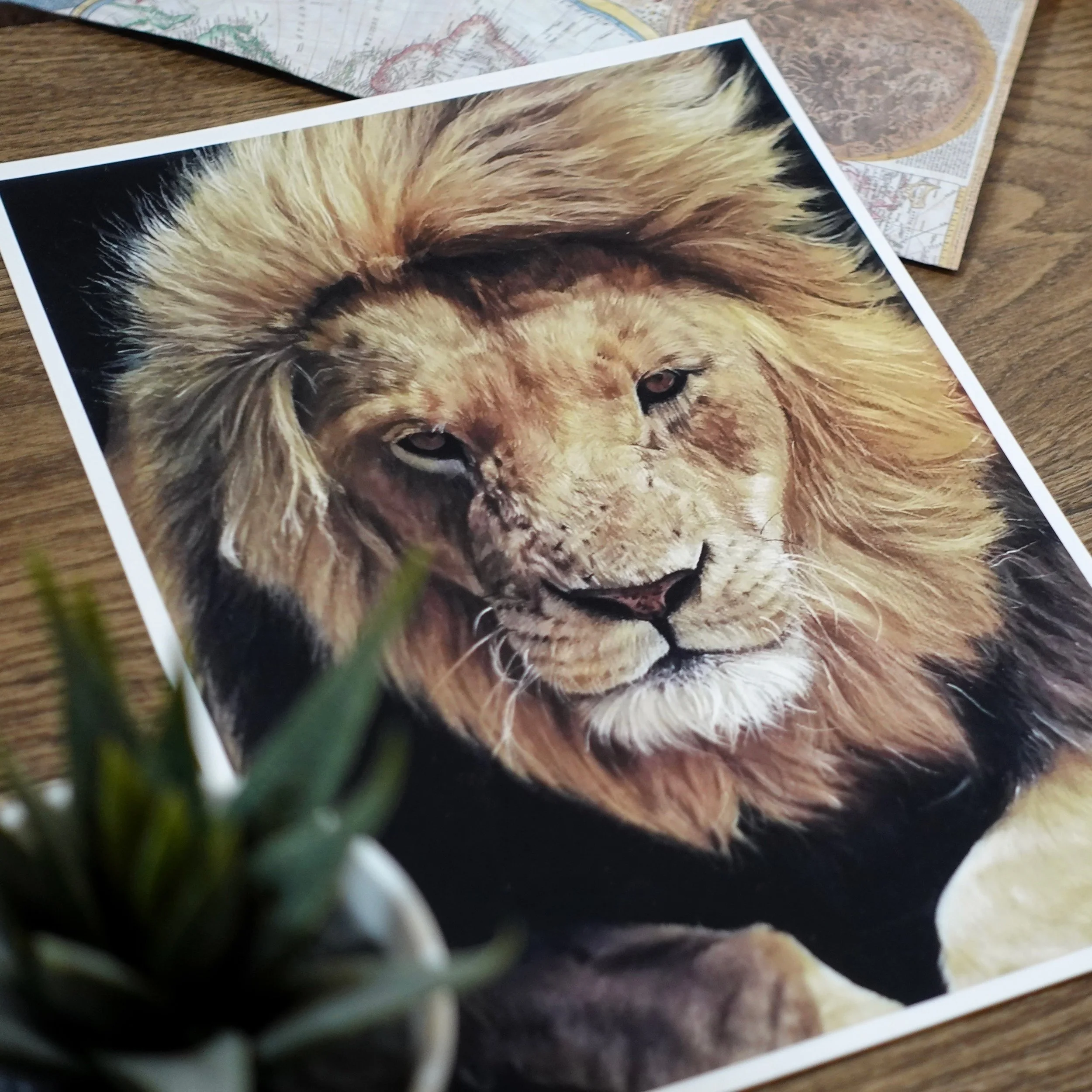 Aslan Lion - signed print (Medium) | Pet Portraits and Wildlife